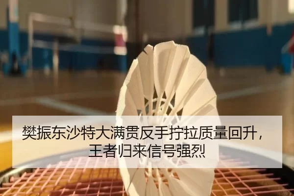 樊振东沙特大满贯反手拧拉质量回升，王者归来信号强烈