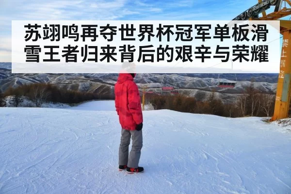 苏翊鸣再夺世界杯冠军单板滑雪王者归来背后的艰辛与荣耀